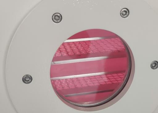 豆奶视频APP官网机