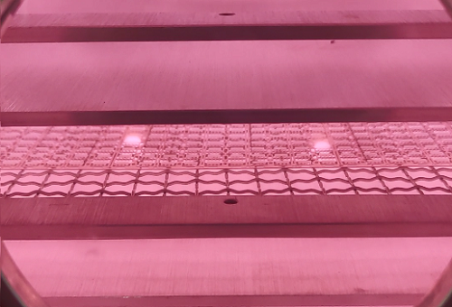 真空豆奶视频APP官网机