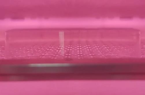 豆奶视频免费观看在线