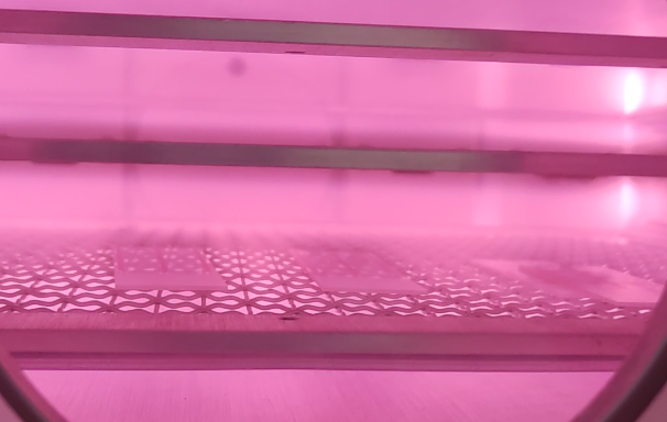 Plasma豆奶视频APP官网机