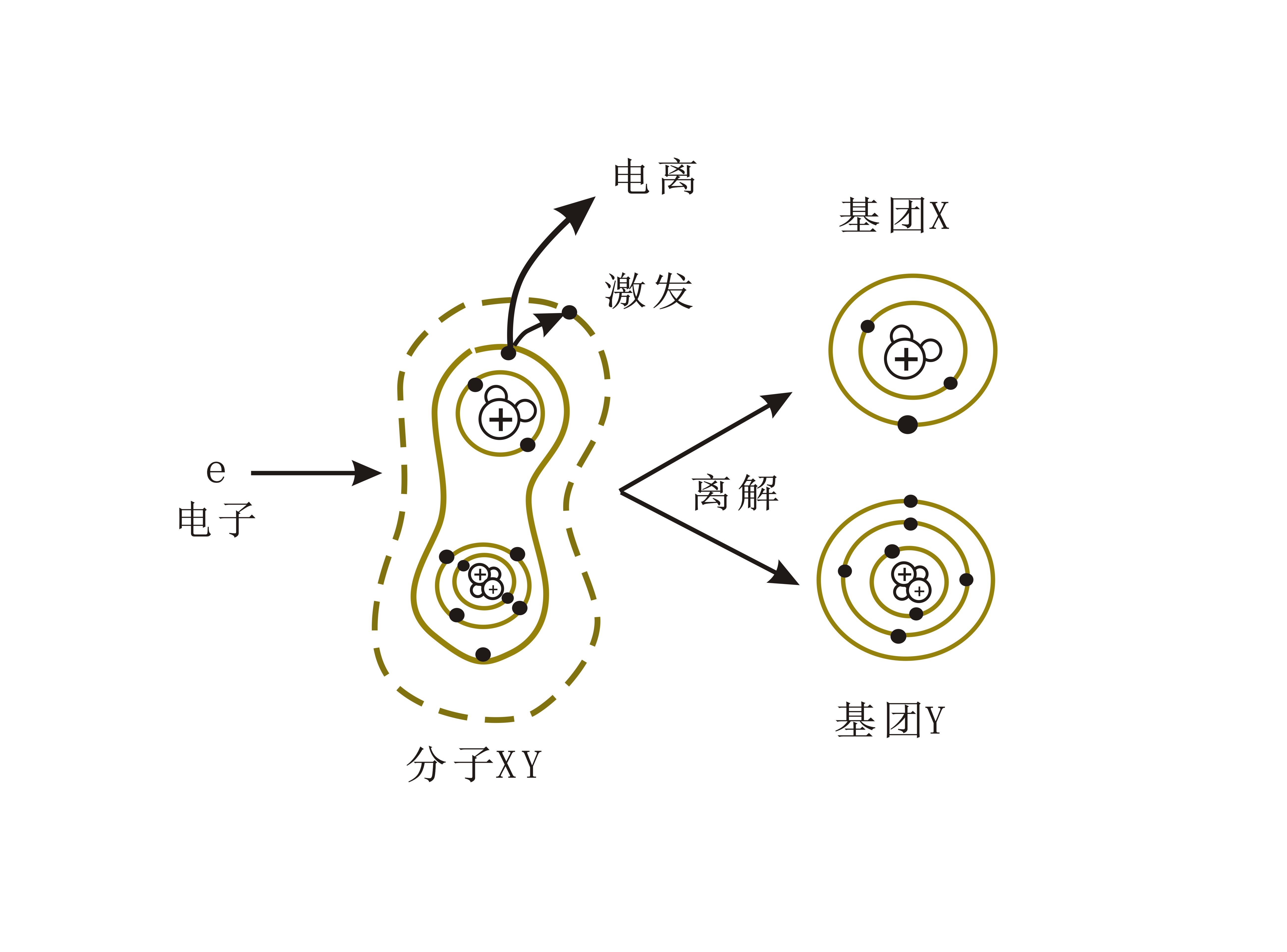 豆奶视频APP官网机的离解