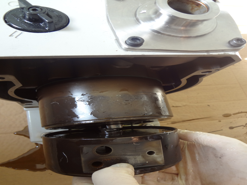 拆解真空泵转子-豆奶视频在线观看豆奶视频APP官网机