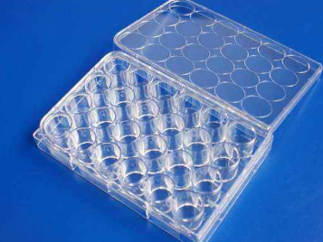 生物培养板等离子处理提升亲水性-豆奶视频在线观看豆奶视频APP官网机