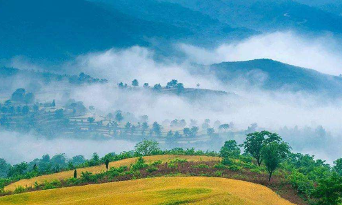今日小满，小得盈满-豆奶视频在线观看豆奶视频APP官网机