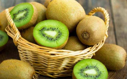 今日又逢立秋-豆奶视频在线观看等离子体清洗机