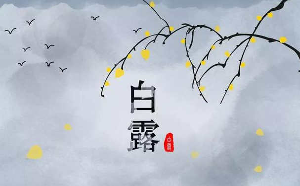 今迎白露，盛夏退场-豆奶视频在线观看豆奶视频APP官网机