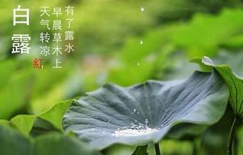 今迎白露，盛夏退场-豆奶视频在线观看豆奶视频APP官网机